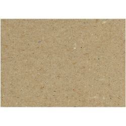 Carton Recyclé