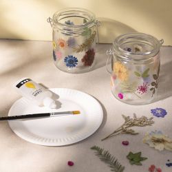 Fleurs et feuilles pressées