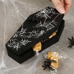 Cercueil avec fermeture magn&eacute;tique