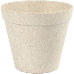 Pot de fleurs