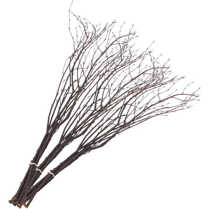Branches de bouleau, L : 50-60 cm, 2x10736648 pièces/ 1 Pq.