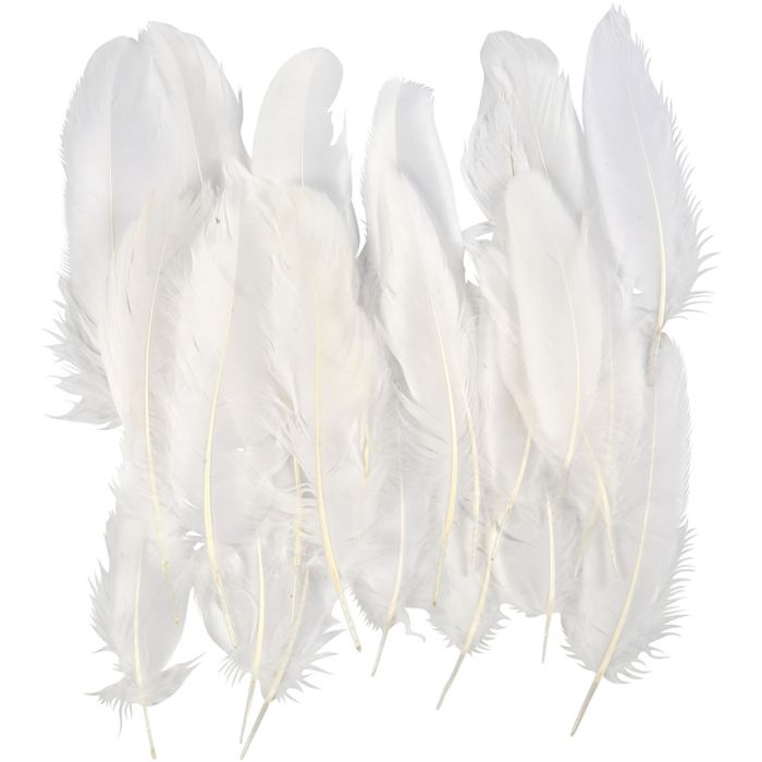 Plumes d'Oie Blanches, ca. 10-18 cm, blanc, 5x70 pièces/ 1 Pq.