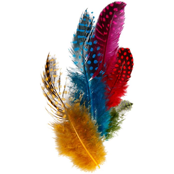 Plumes de pintade, ca. 100 pièce, ass. de couleurs, 3 gr/ 1 Pq.
