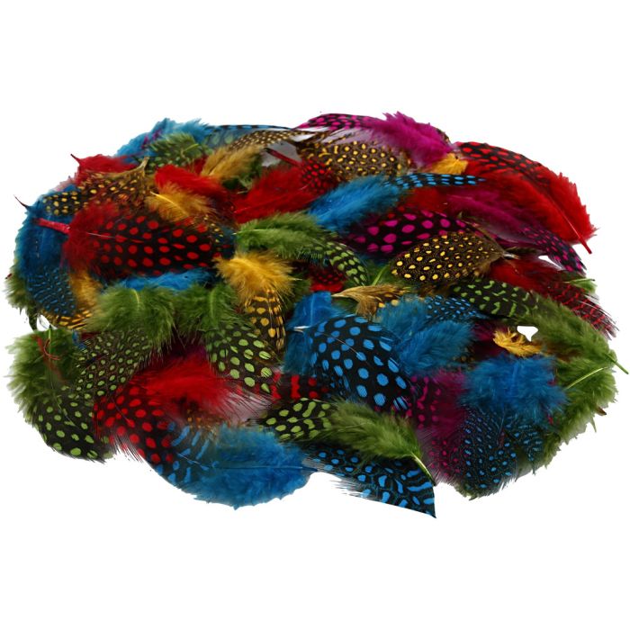 Plumes de pintade, ca. 1500 pièce, ass. de couleurs, 50 gr/ 1 Pq.