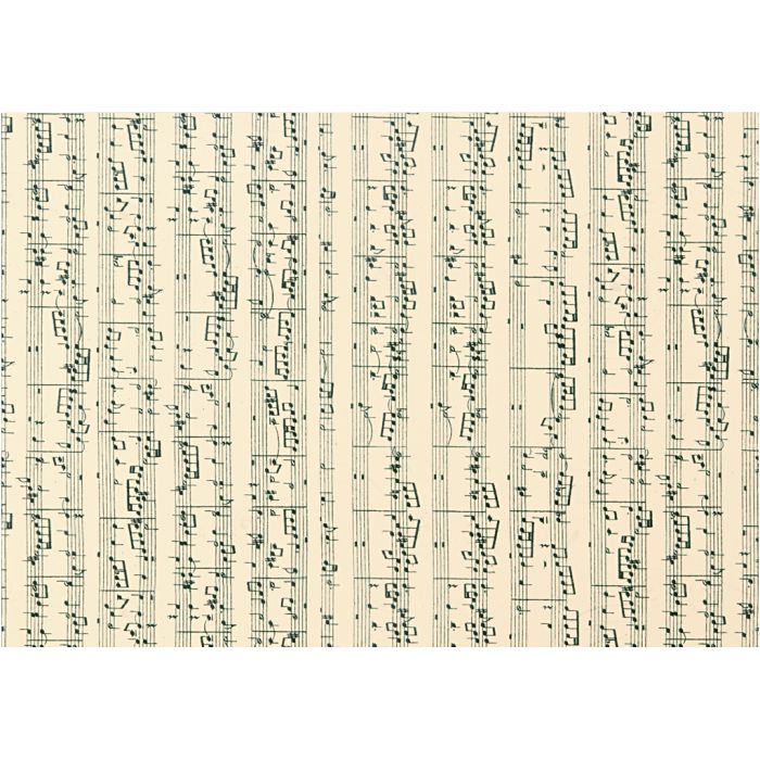 Papier cartonné, notes de musique, A4, feuille 210x297 mm, 180 gr, 10 flles/ 1 Pq.