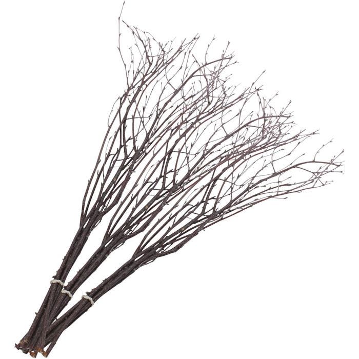 Branches de bouleau, L : 50-60 cm, 20 pièces/ 1 Pq.