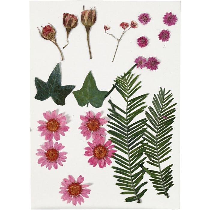 Fleurs et feuilles pressées, rose clair, 1 Pq.