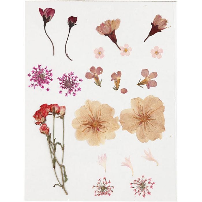 Fleurs et feuilles pressées, rose clair, 1 Pq.