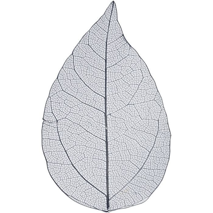 Squelettes de feuilles, L : 6-8 cm, bleu, 20 pièces/ 1 Pq.