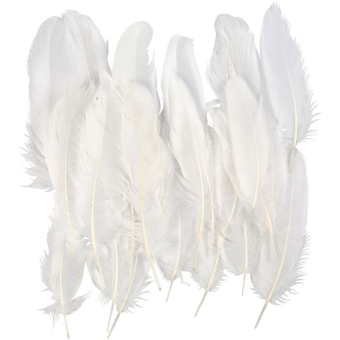 Plumes d'Oie Blanches, dim. 10-18, blanc, 70 pièces/ 1 sac