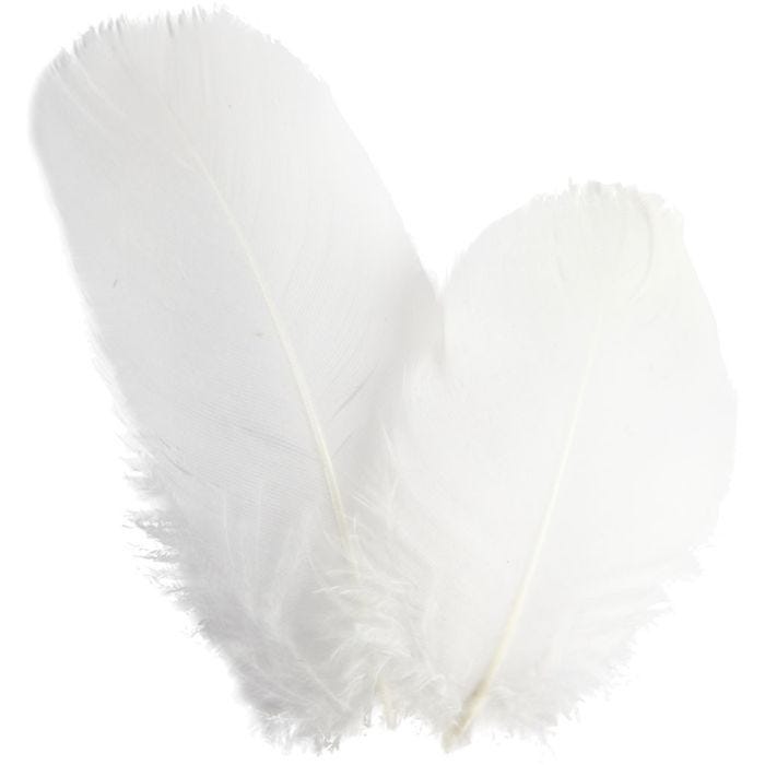 Plumes d'oies - rond, L : 5-8 cm, blanc, 3 gr/ 1 Pq.