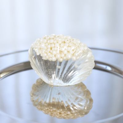 Coquille en biorésine transparente avec perles