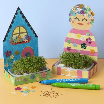 Des plateaux de cresson décorés avec des sequins
