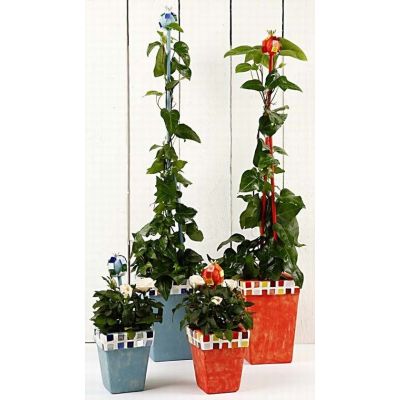 Flower Pots with Plus Color and Mosaic