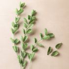 Branches avec petites feuilles en papier crépon