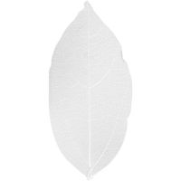 Squelettes de feuilles, L: 6-8 cm, blanc, 20 pièce/ 1 Pq.