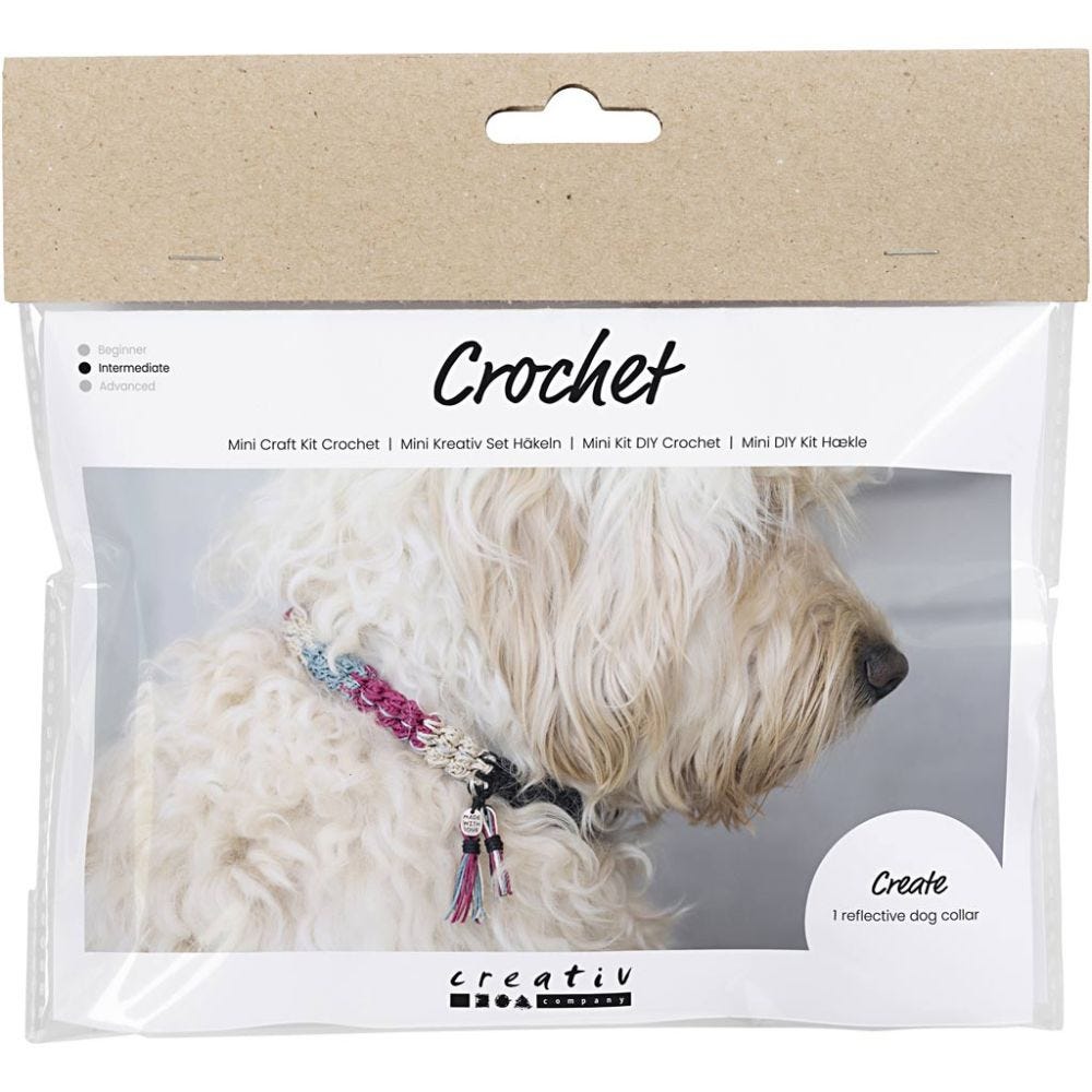 Mini Kit DIY Crochet, Collier pour chien, 1 Pq.