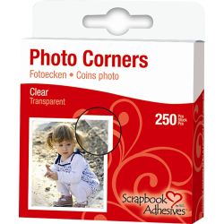 Coins photos