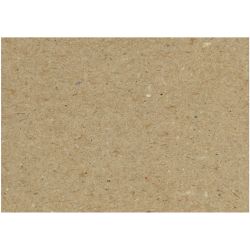 Carton