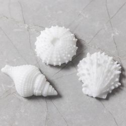 Moule en silicone