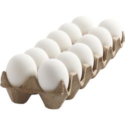 Oeuf en Plastique