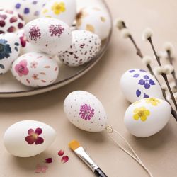 Oeuf en Plastique