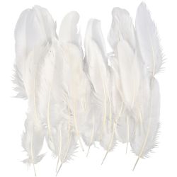 Plumes d'Oie Blanches