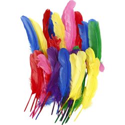 Plumes