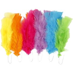 Plumes