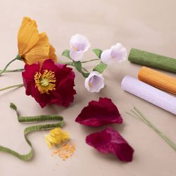 Kit de Démarrage DIY Papier Crépon