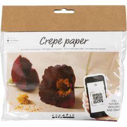Mini Kit DIY Papier Crépon