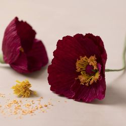 Mini Kit DIY Papier Crépon