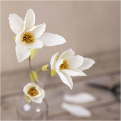 Mini Kit DIY Papier Crépon